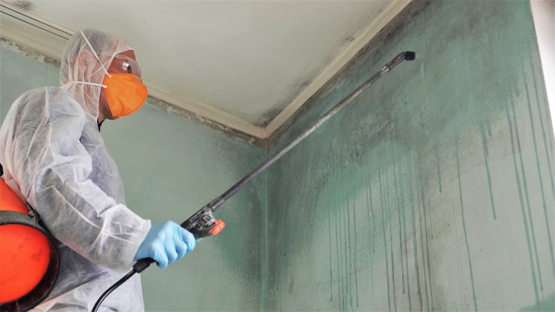 HVAC Mold Treatment
