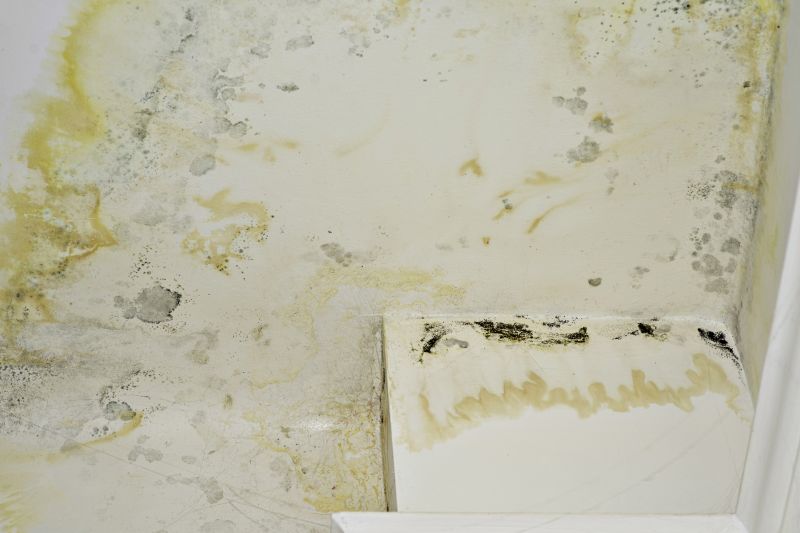 Interior Wall Mold