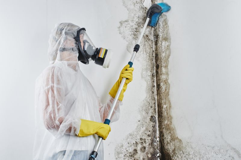 Increase Your Black Mold Removal Business with an AI Driven, Targeted Website