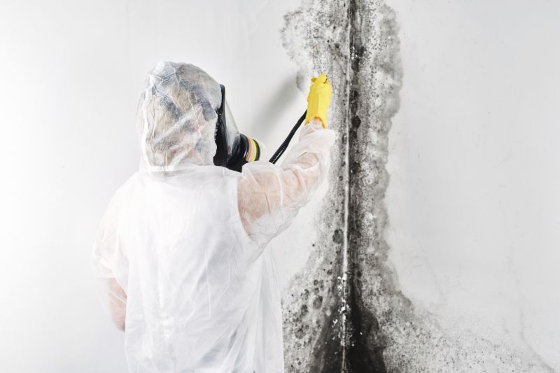 Black Mold Remediation in Bergen County, NJ