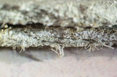 Basement Asbestos Removal in Bergen County, NJ