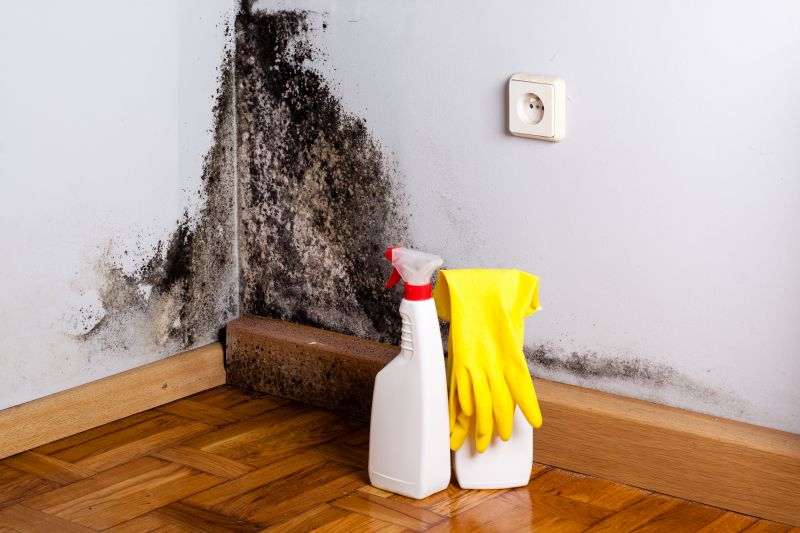 Black Mold Remediation in Fort Lauderdale, FL