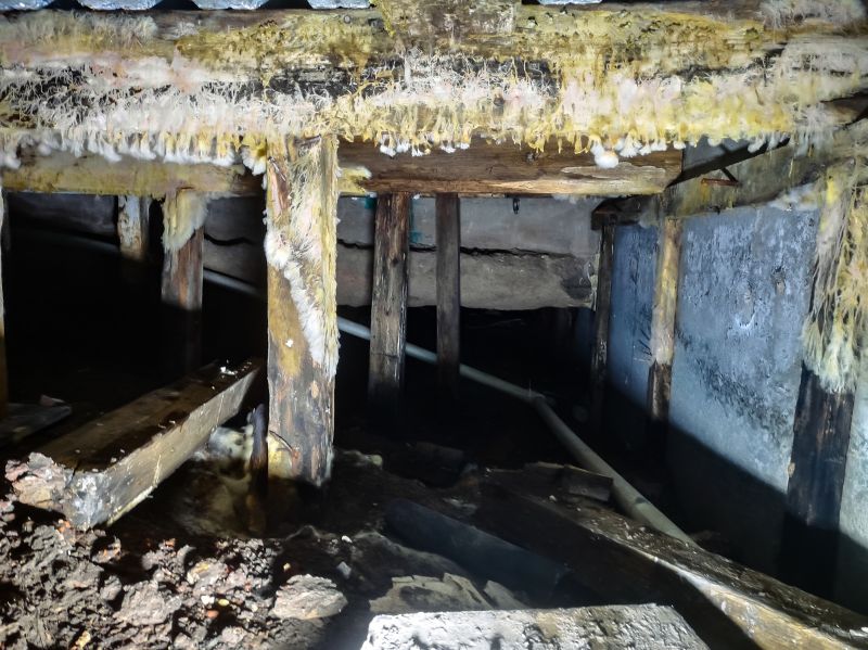 Crawl Space Mold Removal in West Palm Beach, FL