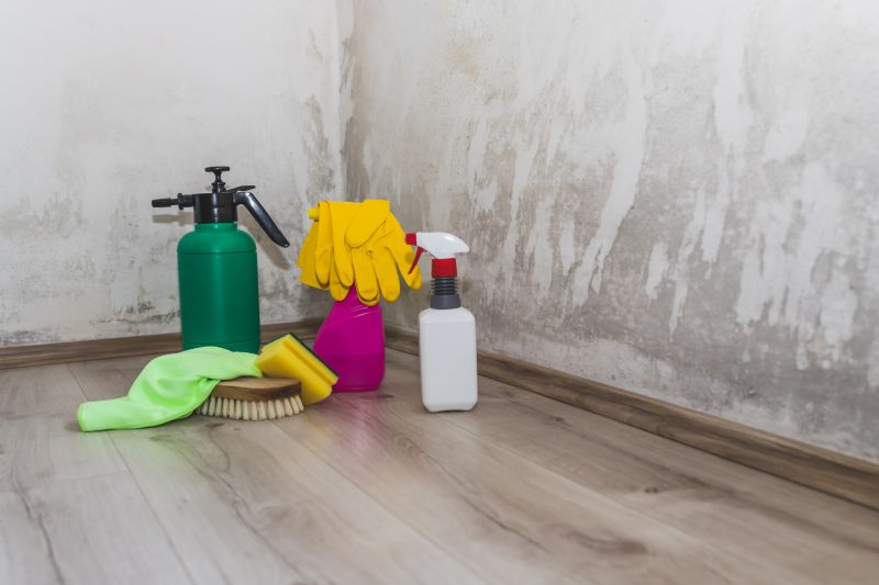 Mold Cleanup Service in Fort Lauderdale, FL