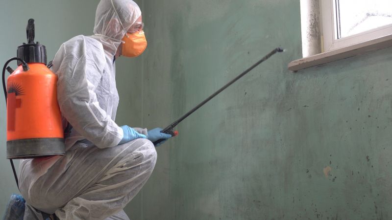 Mold Control in Mckinney, TX