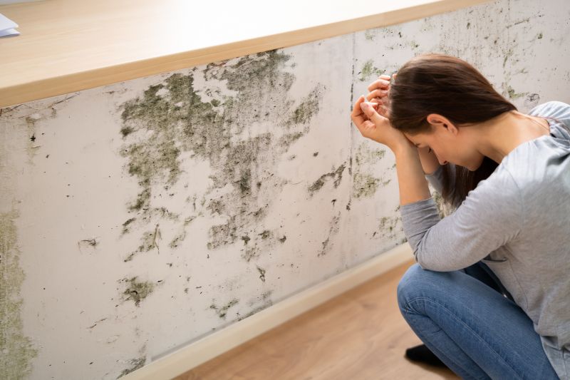 Mold Detection in Dallas, TX