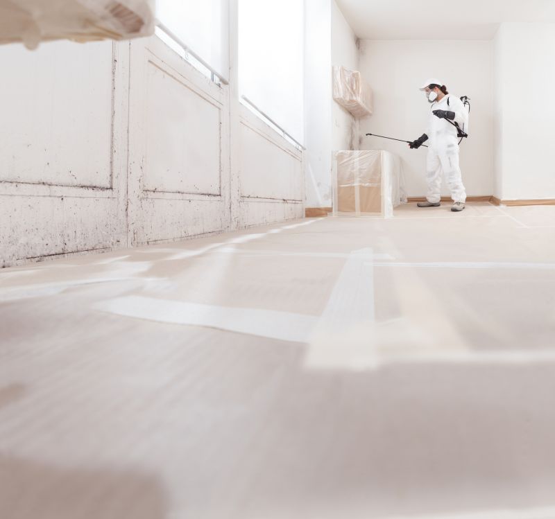 Mold Remediation Service in Dallas, TX