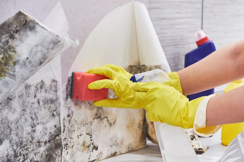 Mold Restoration in Essex County, NJ