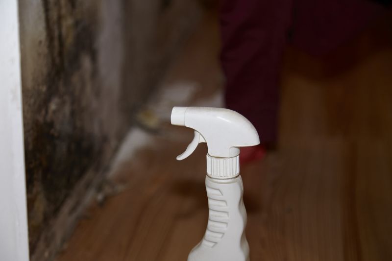 Mold Restoration in Bergen County, NJ
