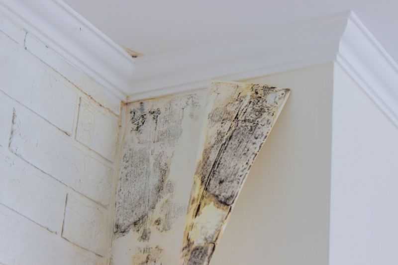 Mold Restoration in Fort Worth, TX