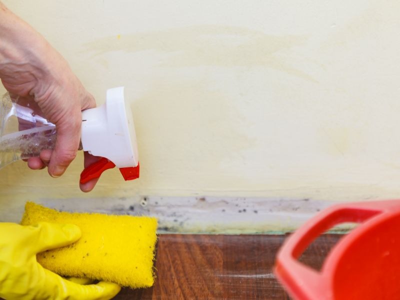 Mold Restoration in Fort Worth, TX