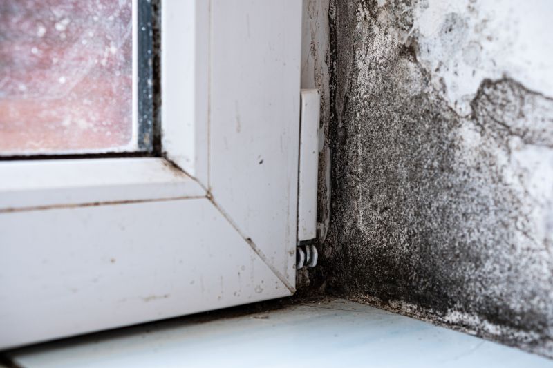 Mold Treatment Service in Essex County, NJ