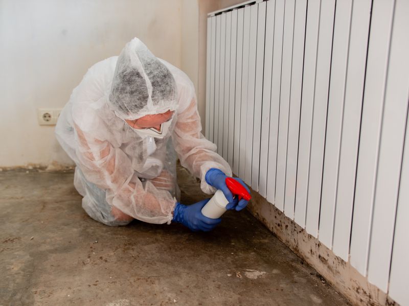 Mold Treatment Service in Dallas, TX