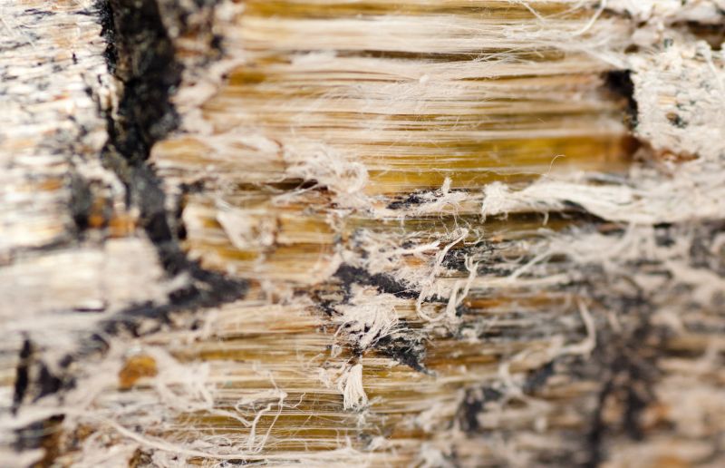 Vermiculite Remediation in Essex County, NJ