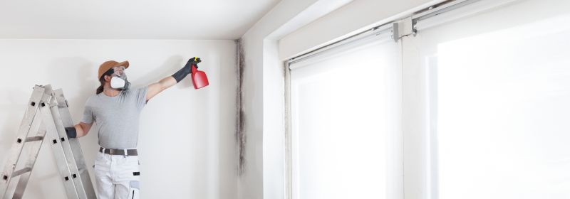 White Mold Mitigation in West Palm Beach, FL
