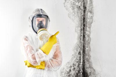 Get Professional Black Mold Removal!